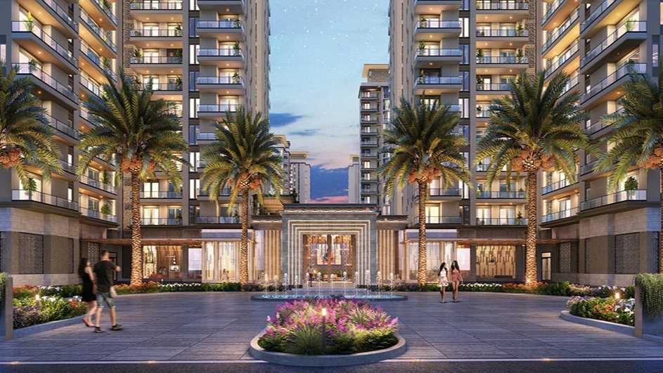 ace starlight cropped